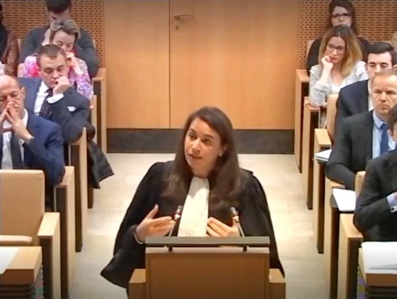 Céline Cooper au Conseil constitutionnel — Décision QPC 2019